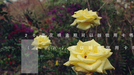 20歲花唄逾期可以辦信用卡嗎(花唄逾期過(guò)可以辦理信用卡嗎)