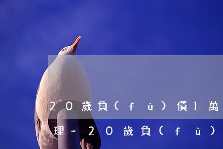 20歲負(fù)債1萬(wàn)怎么辦理-20歲負(fù)債1萬(wàn)怎么辦理房貸