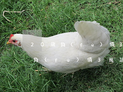 20歲負(fù)債3萬該怎么辦-20歲負(fù)債3萬該怎么辦呢