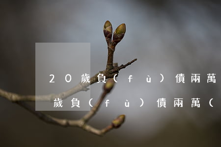 20歲負(fù)債兩萬(wàn)-20歲負(fù)債兩萬(wàn)多怎么辦