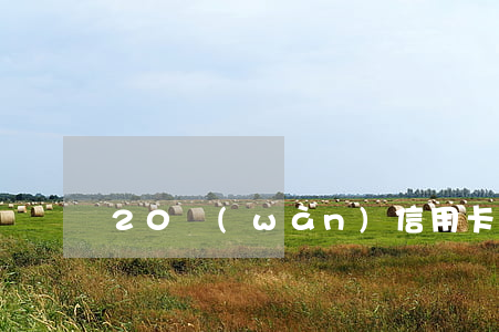 20萬(wàn)信用卡利息多少