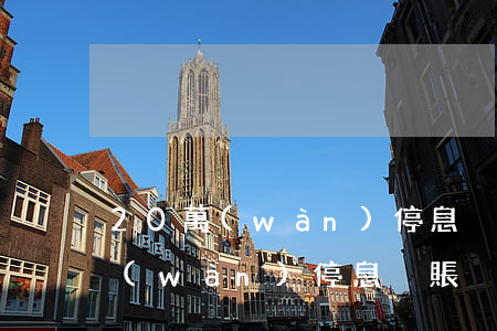 20萬(wàn)停息掛賬什么意思（20萬(wàn)停息掛賬）