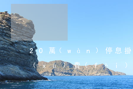 20萬(wàn)停息掛賬(停息掛賬收手續(xù)費(fèi)多少)