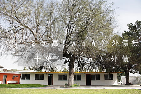 20萬(wàn)外債無(wú)力償還 二十萬(wàn)外債