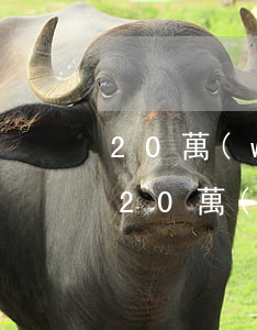 20萬(wàn)律師費(fèi)收多少(20萬(wàn)左右的官司律師費(fèi)大概多少)