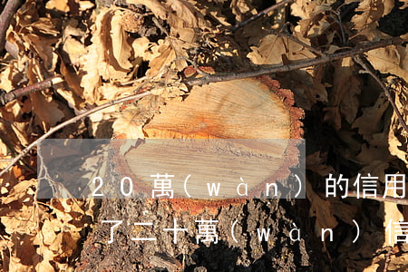 20萬(wàn)的信用卡還不起怎么辦(欠了二十萬(wàn)信用卡還不起怎么辦)