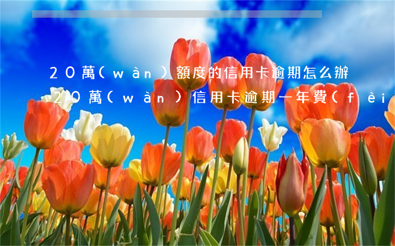 20萬(wàn)額度的信用卡逾期怎么辦(20萬(wàn)信用卡逾期一年費(fèi)用多少)