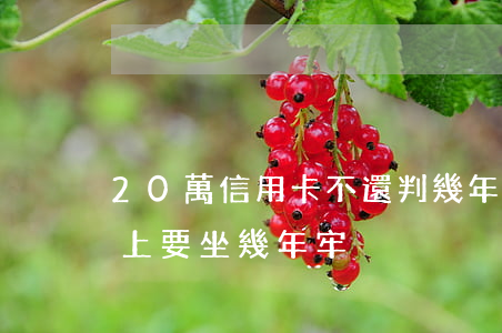 20萬信用卡不還判幾年(20萬信用卡還不上要坐幾年牢)