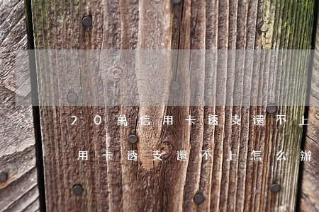20萬信用卡透支還不上怎么辦-20萬信用卡透支還不上怎么辦呢