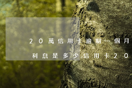 20萬信用卡逾期一個月產(chǎn)生利息是多少（信用卡20萬額度逾期）
