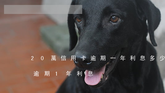 20萬信用卡逾期一年利息多少(信用卡2萬逾期1年利息)