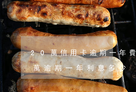 20萬信用卡逾期一年費用多少(信用卡20萬逾期一年利息多少)