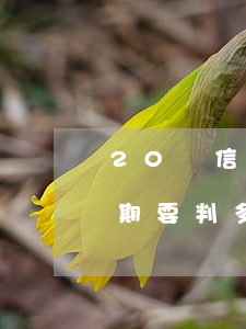 20萬信用卡逾期坐牢案例(信用卡20萬逾期要判多久)