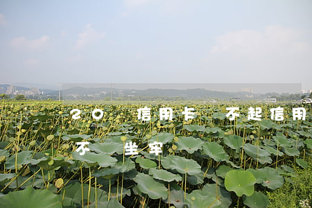 20萬信用卡 還不起(信用卡20萬還不上,會不會坐牢)
