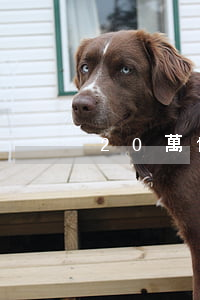 20萬信貸逾期
