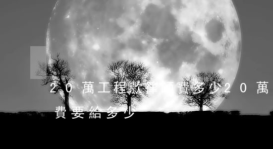 20萬工程款律師費多少(20萬的糾紛律師費要給多少)