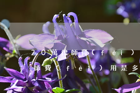 20萬律師費(fèi)用是多少(20萬律師費(fèi)用是多少)