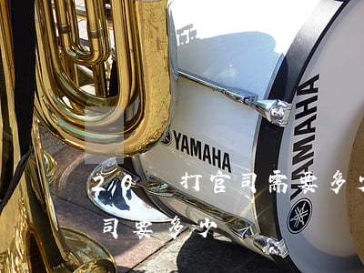 20萬打官司需要多少錢費用(200萬打官司要多少錢)