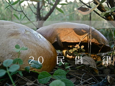 20萬民間借貸請律師怎么收費