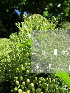 20萬的信用卡還不上怎么辦理-20萬信用卡不還會怎么樣