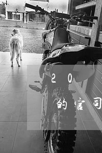 20萬的官司律師費(fèi)多少(20萬的官司律師費(fèi)多少錢)
