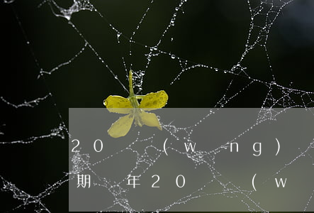 20萬網(wǎng)貸信用卡逾期兩年，逾期兩年，20萬網(wǎng)貸和信用卡債務如何處理？