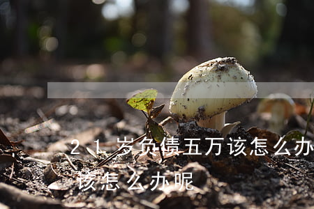 21岁负债五万该怎么办-21岁负债五万该怎么办呢