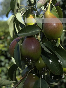 21年光大個(gè)性化分期(21年光大個(gè)性化分期)