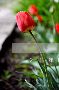21年民政局離婚手續(xù)怎么辦