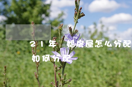 21年離婚房屋怎么分配(新婚姻法離婚房子如何分配)