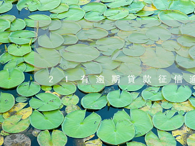 21有逾期貸款 征信逾期21次還能貸款嗎