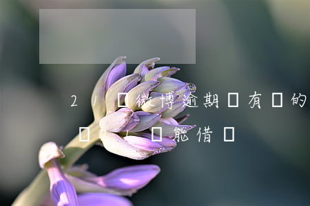 21歲微博逾期還有別的能貸的嗎-微博借錢21歲能借嗎