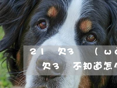 21歲欠3萬網(wǎng)貸怎么辦(21歲欠3萬,不知道怎么辦)