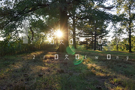 21歲欠網(wǎng)貸3萬(wàn)(21歲欠網(wǎng)貸3萬(wàn))
