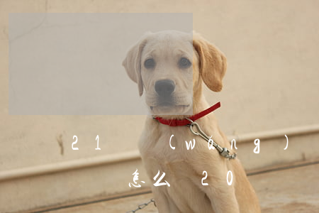 21歲網(wǎng)貸欠兩萬怎么辦(欠款兩萬怎么辦20歲)