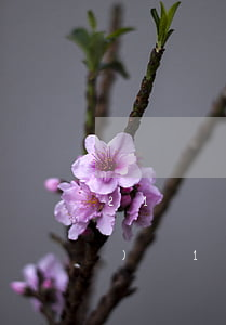 21歲負(fù)債一萬-24歲負(fù)債1萬多感覺自己廢了