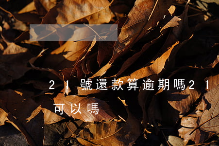 21號還款算逾期嗎(21號還款日21號還可以嗎)