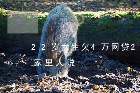 22岁女生欠4万网贷(21岁欠网贷4w跟家里人说)