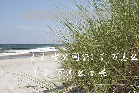 22岁欠网贷10万怎么办-22岁欠网贷10万怎么办呢