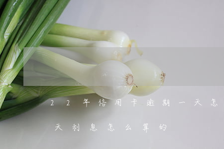22年信用卡逾期一天怎么辦(信用卡 逾期一天 利息怎么算的)