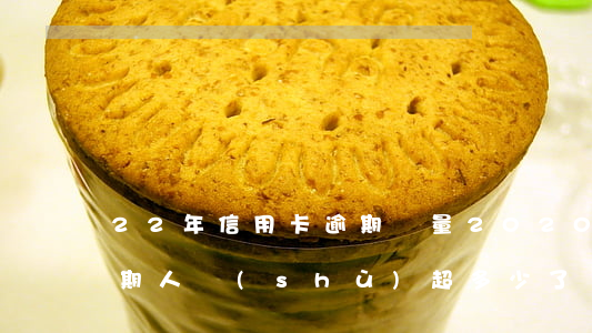 22年信用卡逾期總量(2020年信用卡逾期人數(shù)超多少了)