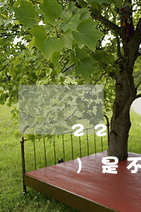 22歲了欠網(wǎng)貸三萬(wàn)是不是廢了-