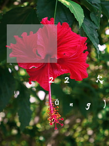 22歲欠網(wǎng)貸30萬(欠網(wǎng)貸30多萬)