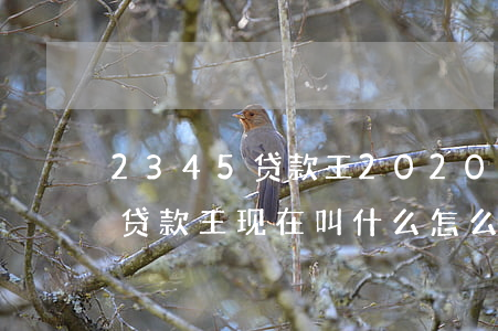 2345贷款王2020年还款-2345贷款王现在叫什么怎么还款