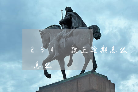 234貸款王逾期怎么辦(234貸款王逾期怎么辦)