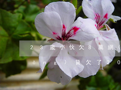 23歲小伙欠8萬網(wǎng)貸(網(wǎng)貸欠了20多家一共30萬)