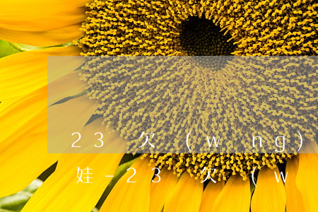 23歲欠網(wǎng)貸13萬還有一個娃-23歲欠網(wǎng)貸13萬還有一個娃能貸款嗎