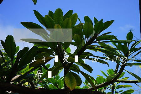 23歲欠網(wǎng)貸2萬要不要和父母說