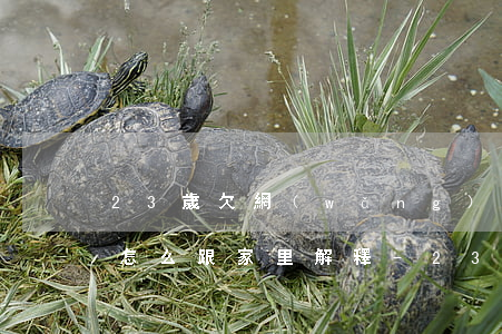 23歲欠網(wǎng)貸五萬(wàn)怎么跟家里解釋-23歲欠網(wǎng)貸五萬(wàn)怎么跟家里解釋的