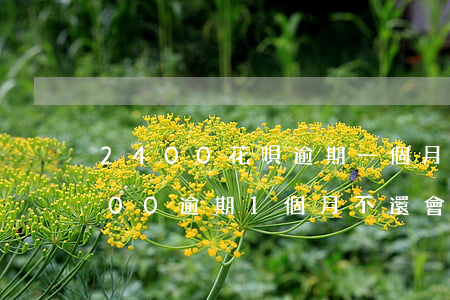 2400花唄逾期一個月會怎么樣-花唄200逾期1個月不還會有什么后果